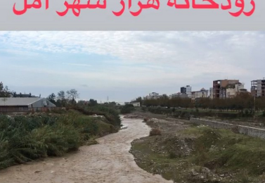 تاثیر آبیاری بر کیفیت برنج