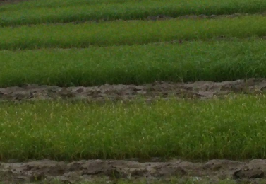 تيمجار و ل له