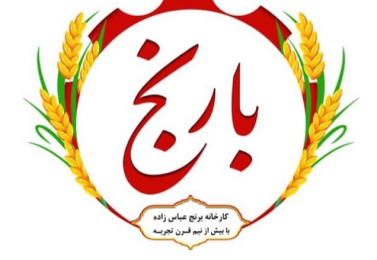 همه خواص برنج ایرانی که باید بدانید